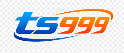 ts999 logo